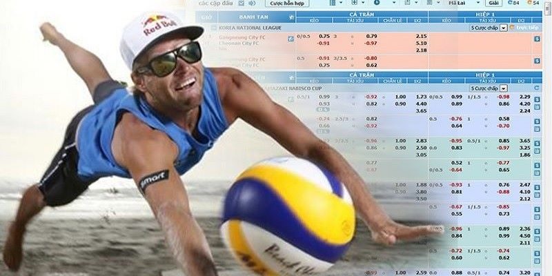 Bạn cần nắm rõ các kèo cược Bóng chuyền online 12Bet phổ biến